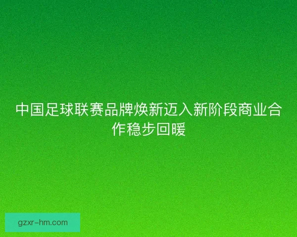 中国足球联赛品牌焕新迈入新阶段商业合作稳步回暖